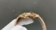 20260522 16 (3)_th.jpg